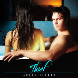 Cover of Thief