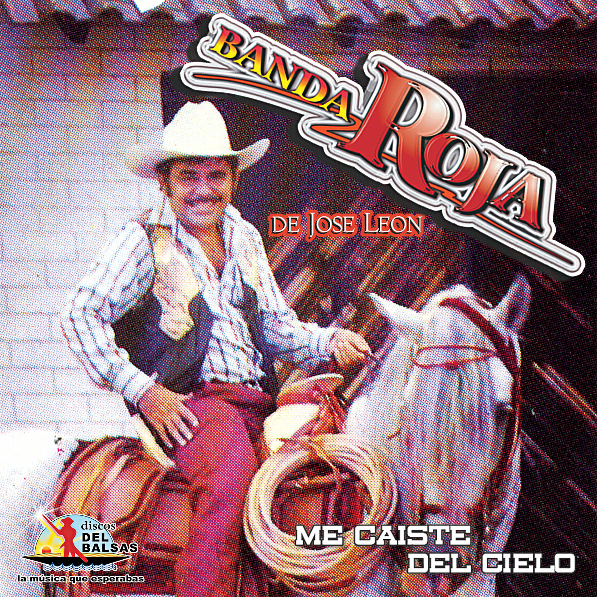 Album cover of Me caiste del cielo
