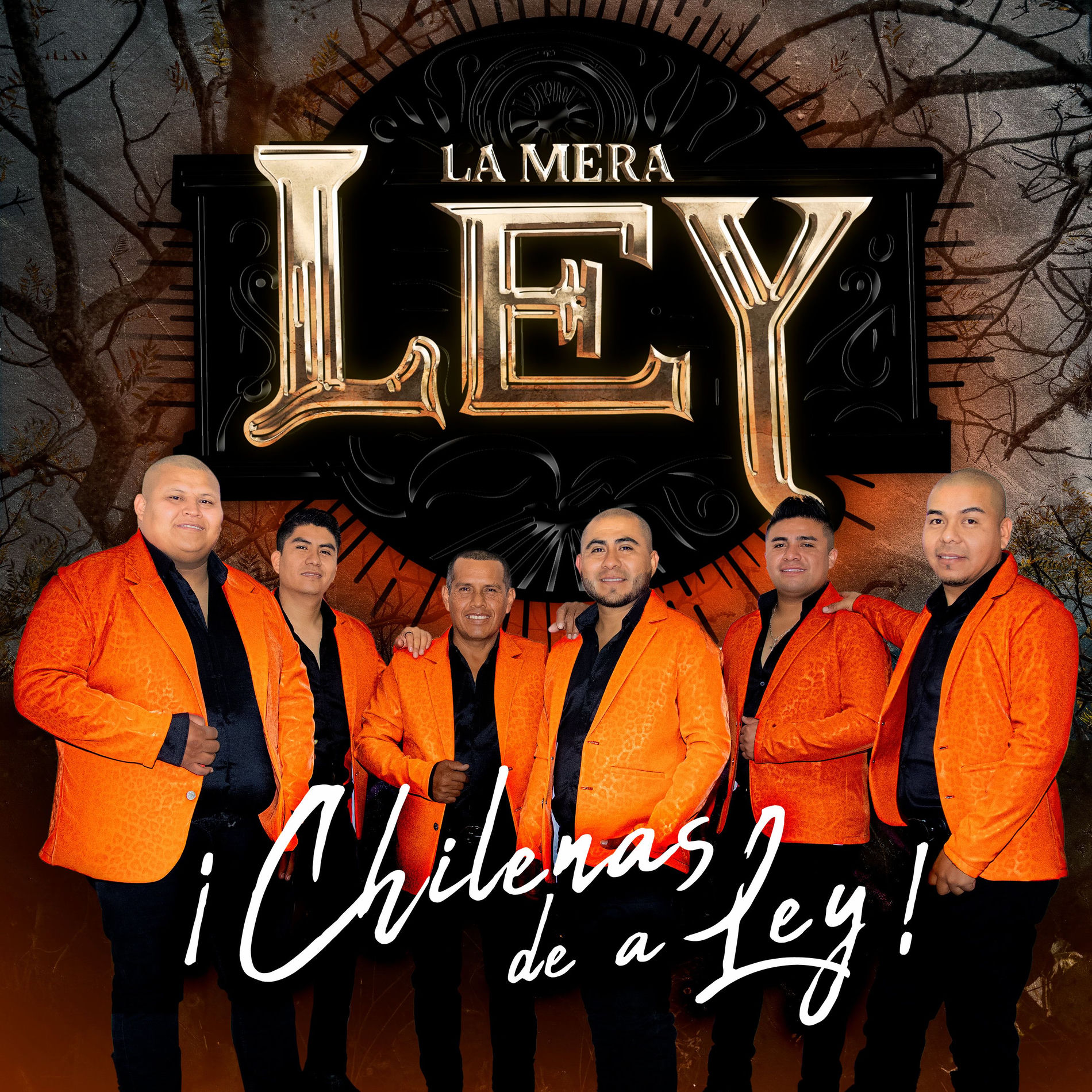 Album cover of La Rosario