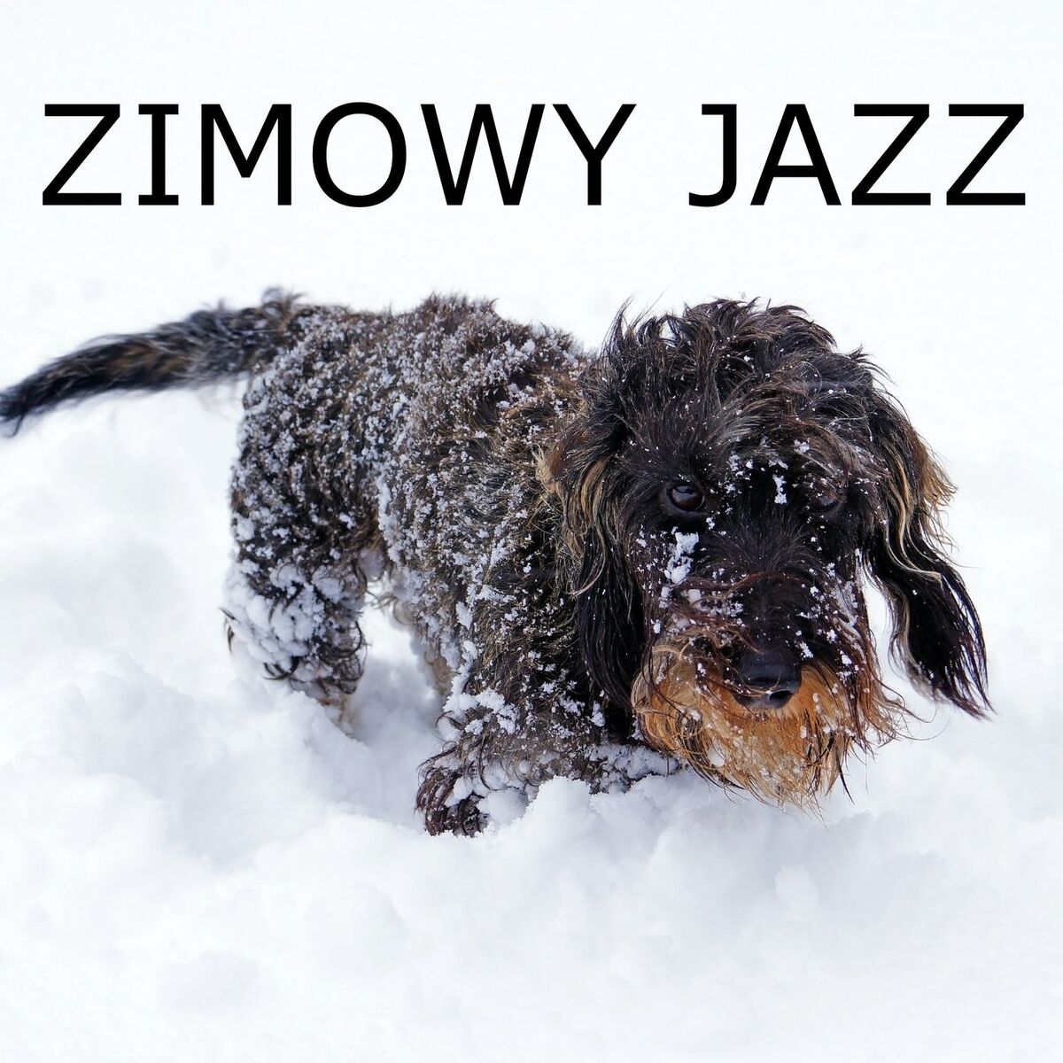 Album cover of Zimowy Jazz