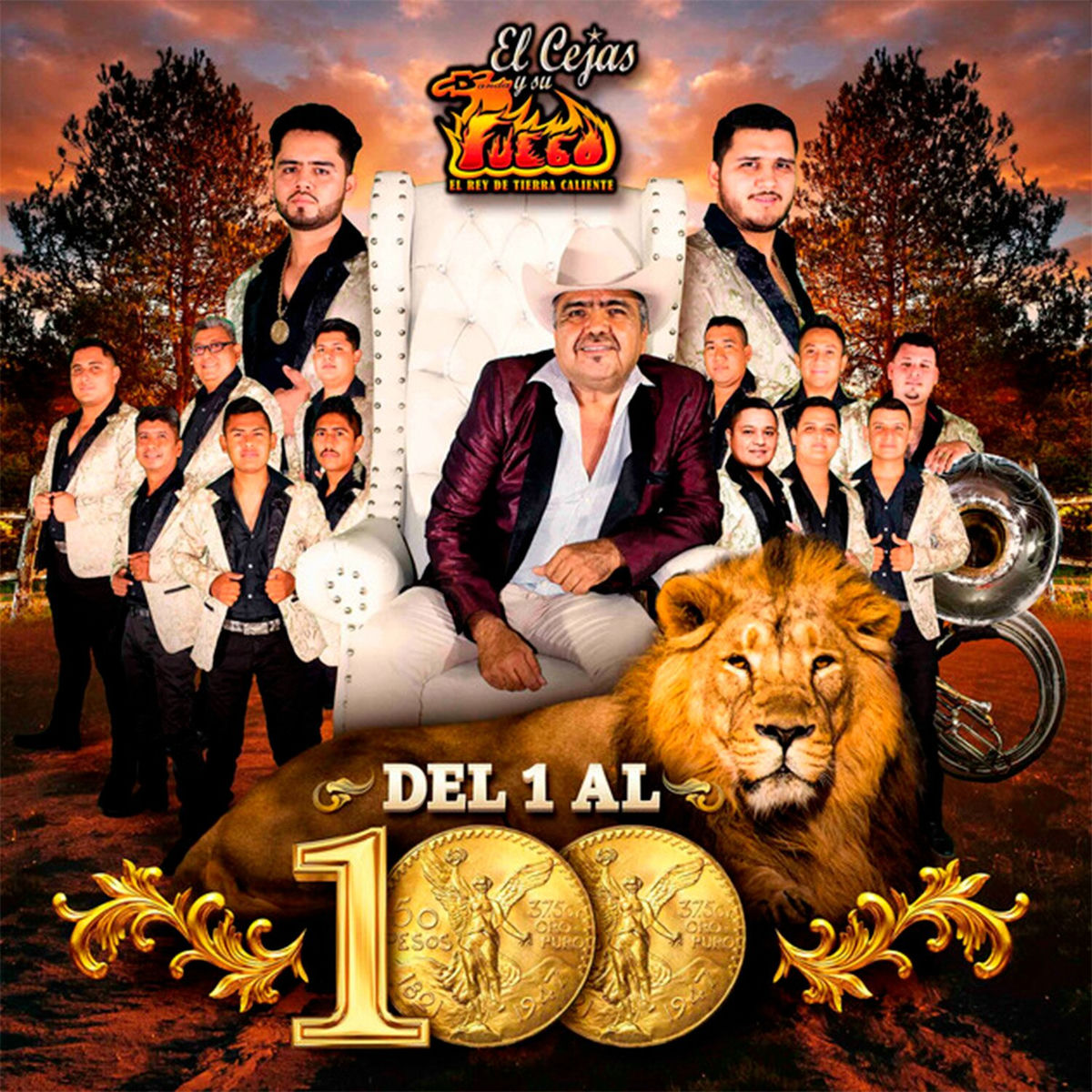 Album cover of Del 1 al 100