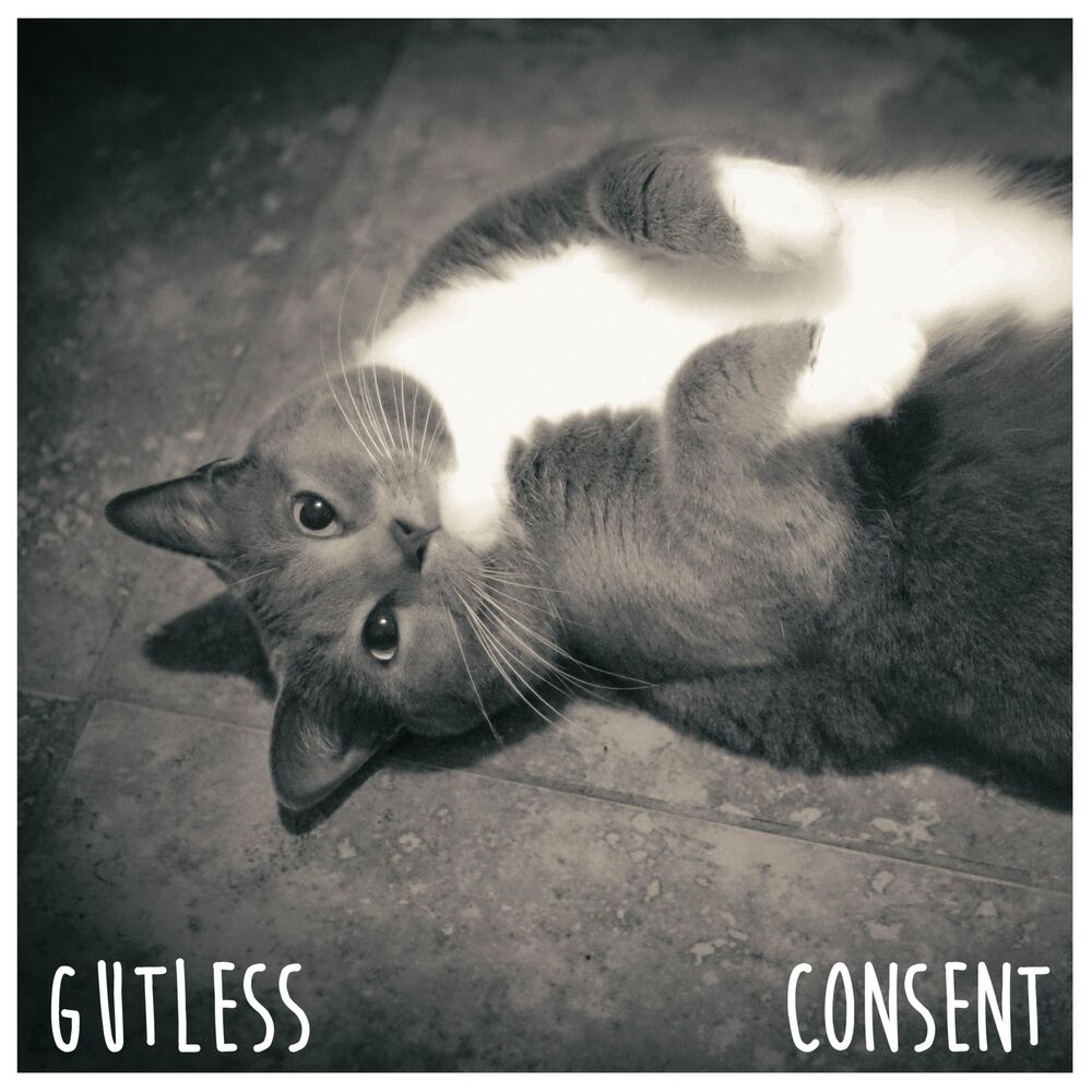 Picture of Split with Consent