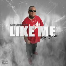 Cover of Like Me