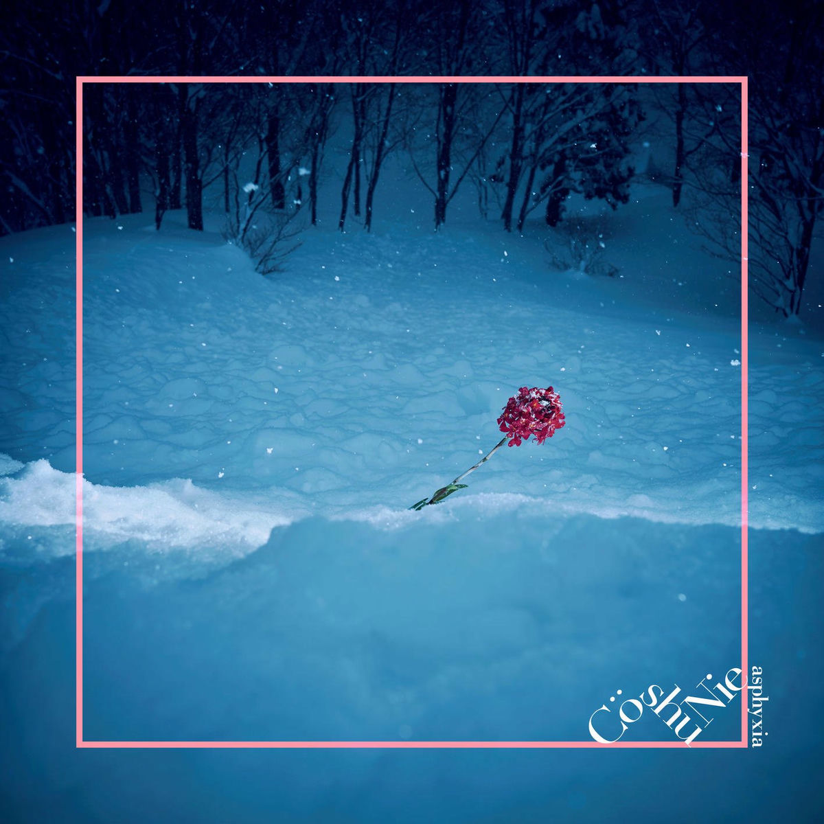 【廃盤】Cö shu Nie / OVERKILL Cö shu Nie – フラッシュバック (Short Edit) / Mini Album