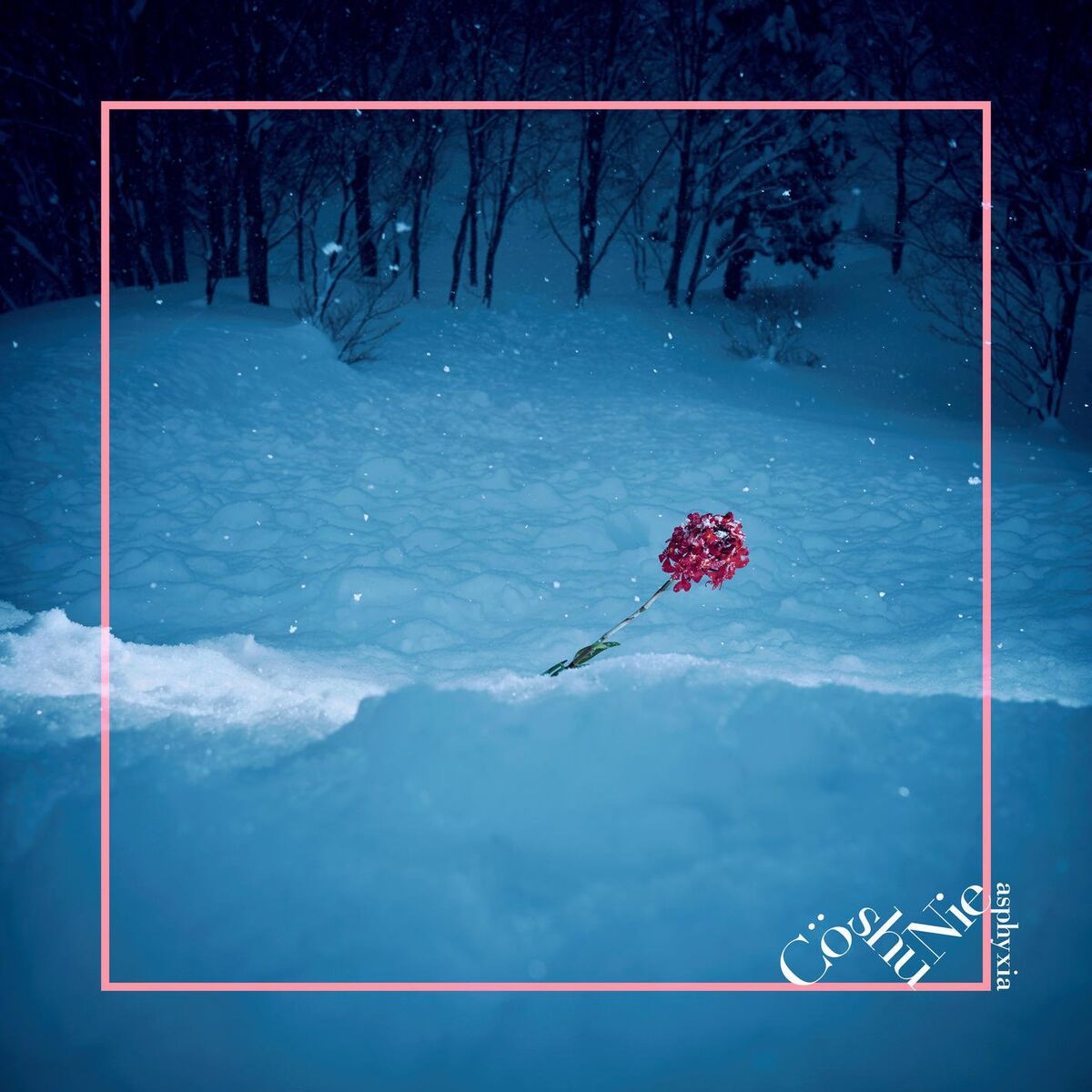 Album cover of asphyxia
