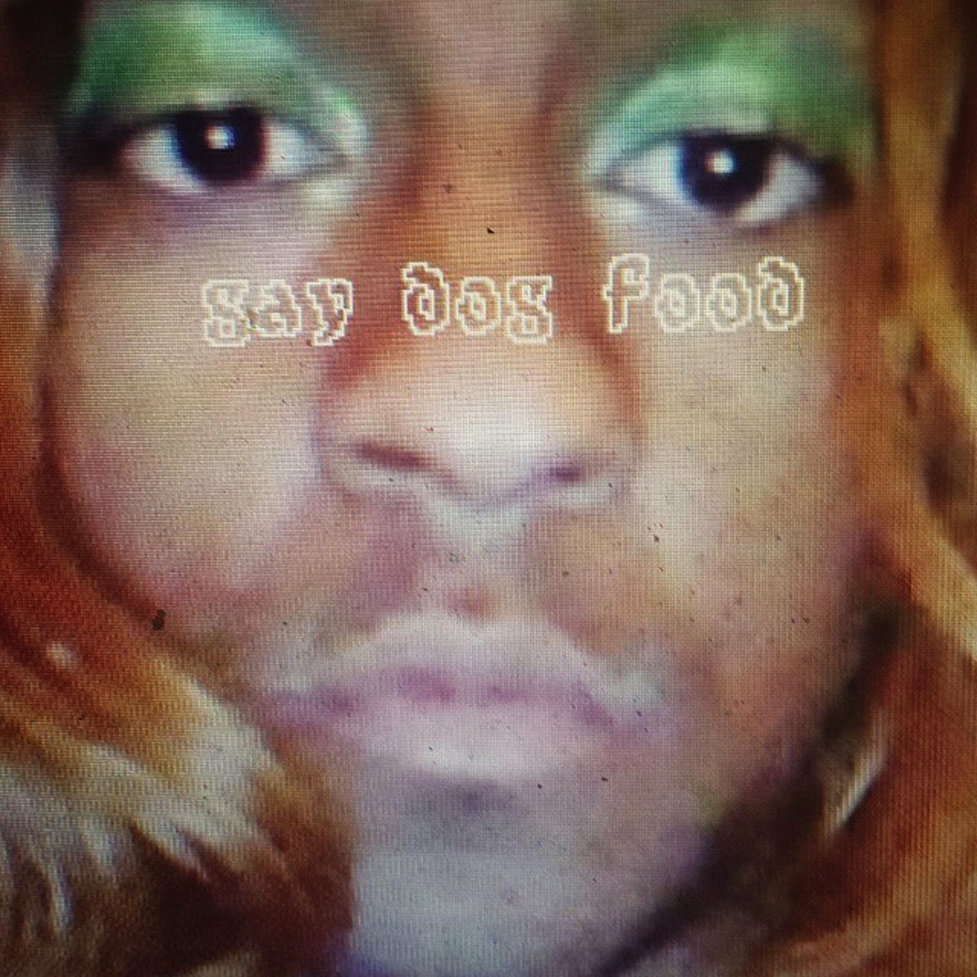 Album cover of Gay Dog Food