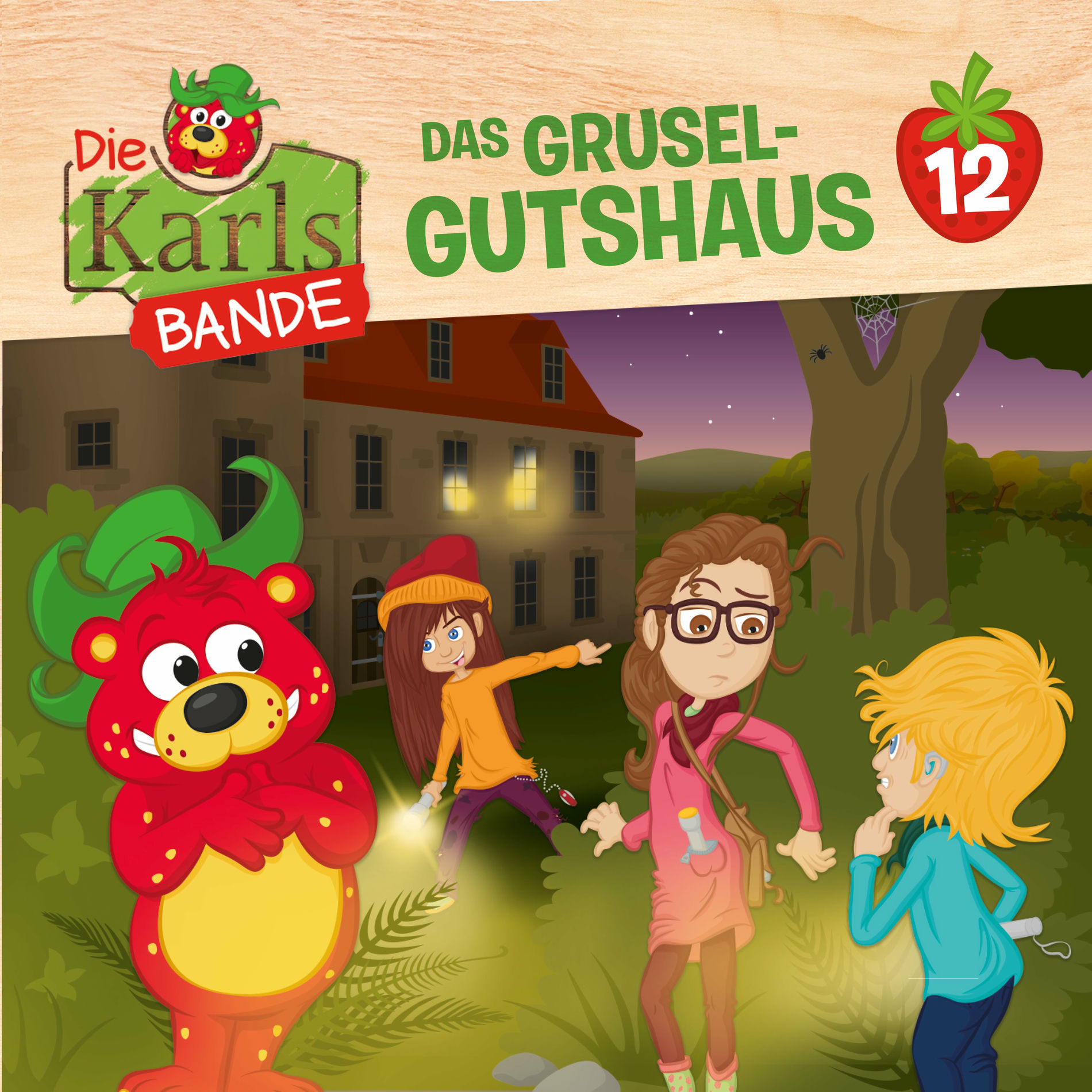 Album cover of Folge 12: Das Grusel-Gutshaus