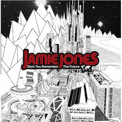 Cover of Don't You Remember the Future