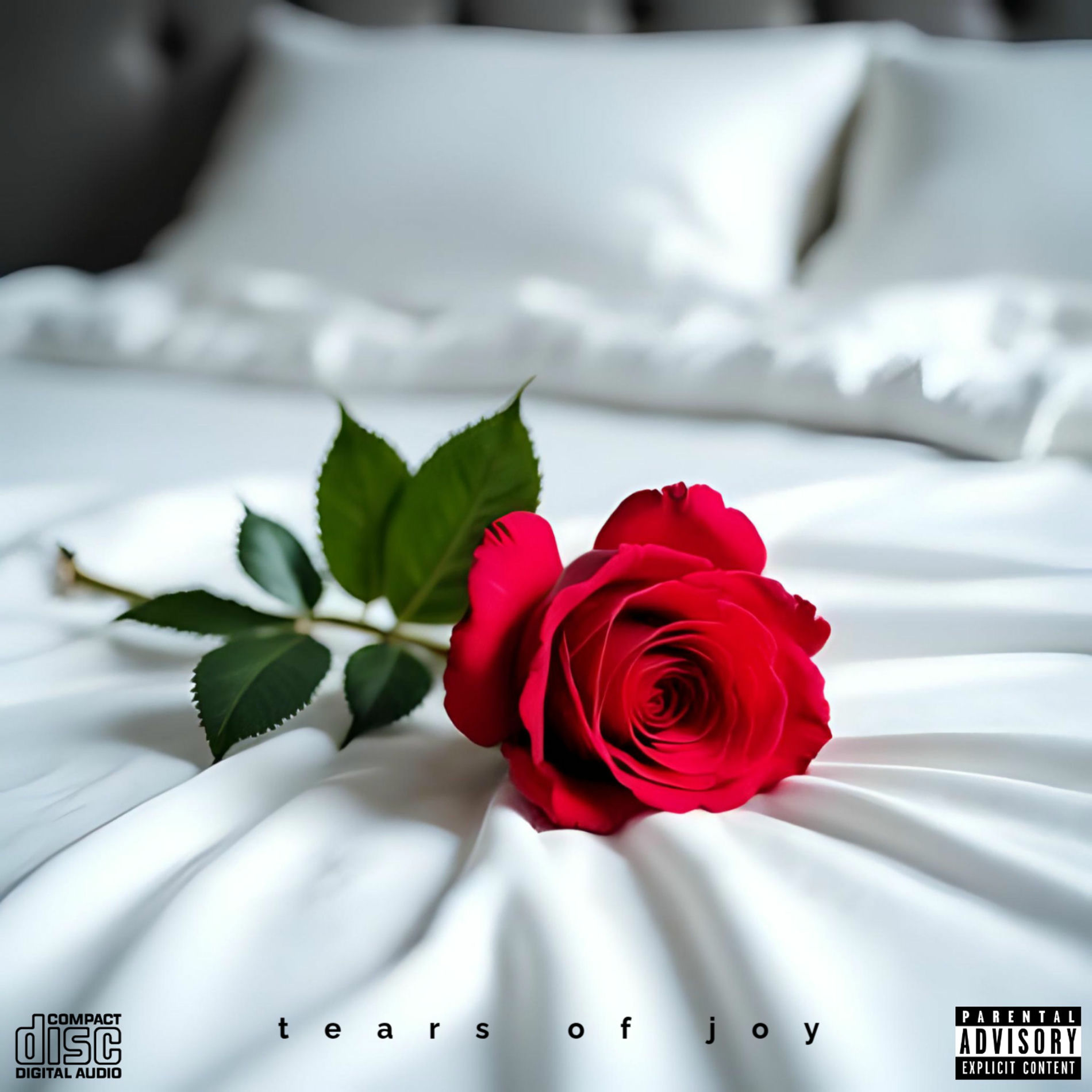 Album cover of Tears Of Joy