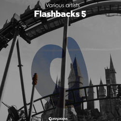 Cover of Flashbacks 6