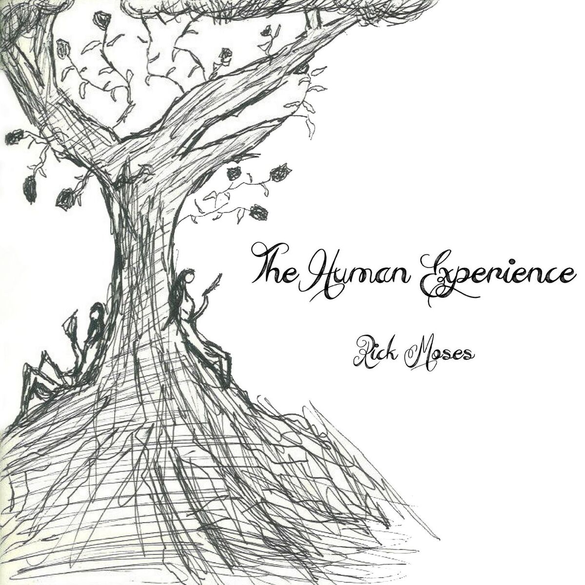 Album cover of The Human Experience