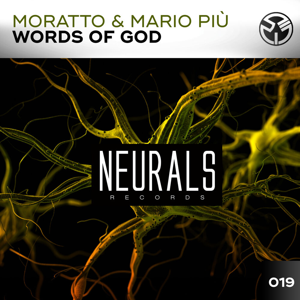 Picture of Words of God