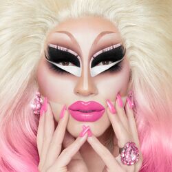 Cover of The Blonde & Pink Albums