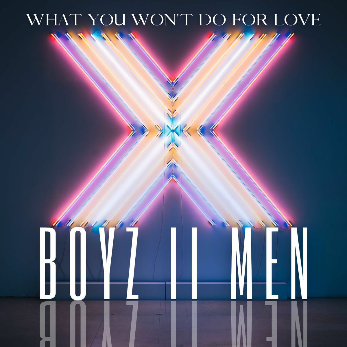 Album cover of What You Won't Do For Love
