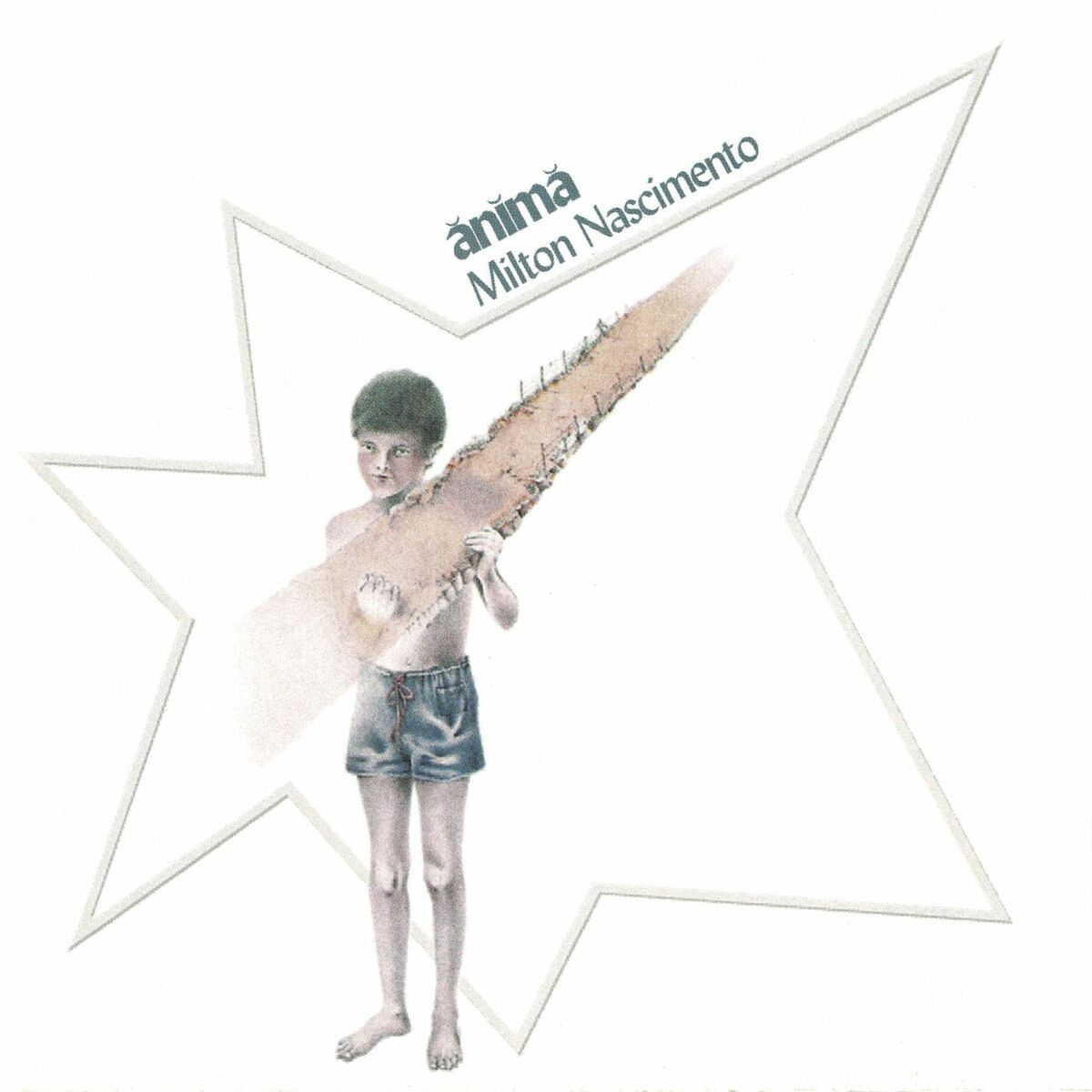 Album cover of Anima