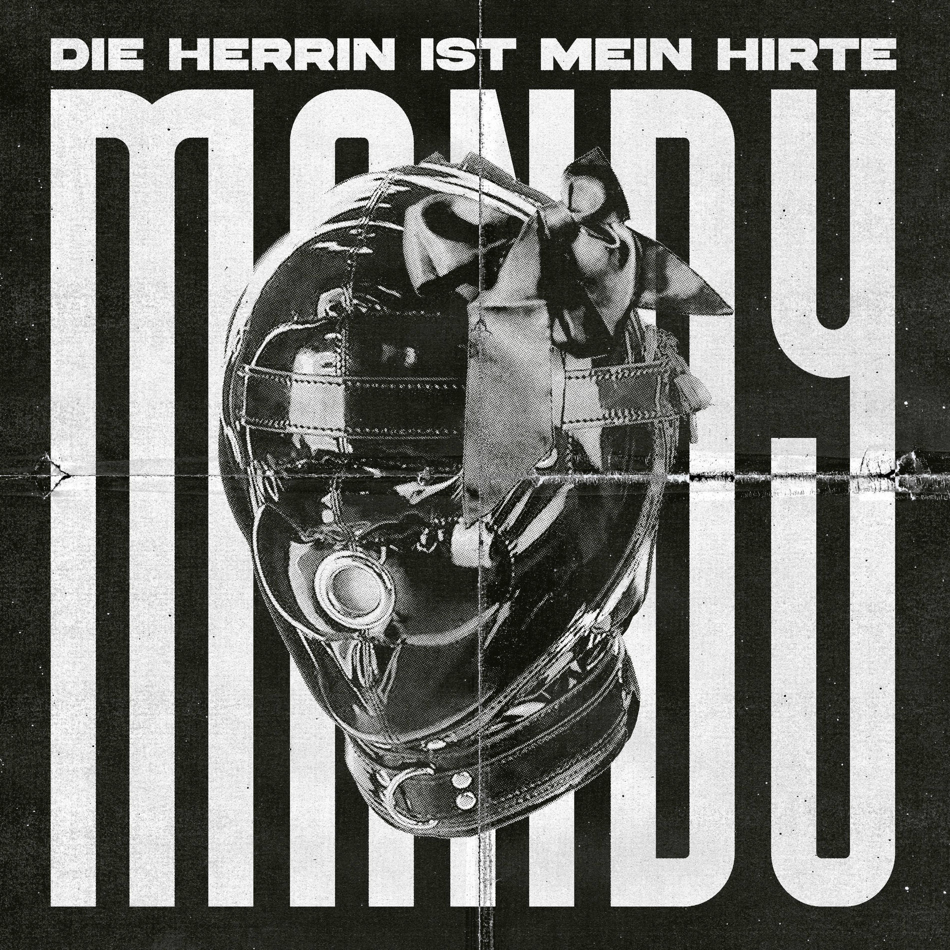 Album cover of Die Herrin ist mein Hirte