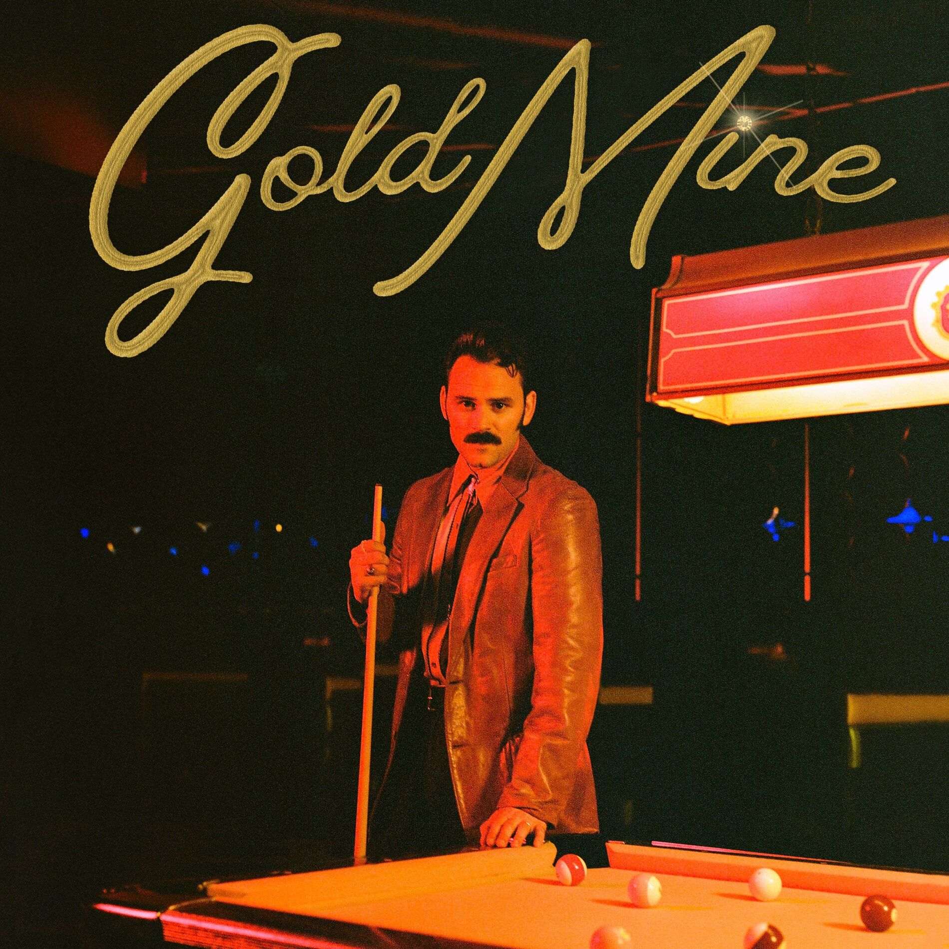 Album cover of Gold Mine