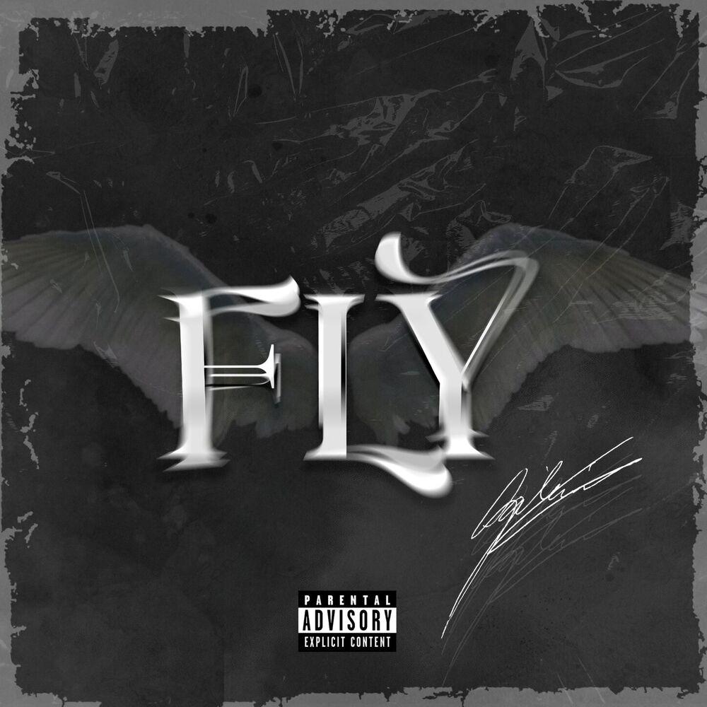 Picture of FLY