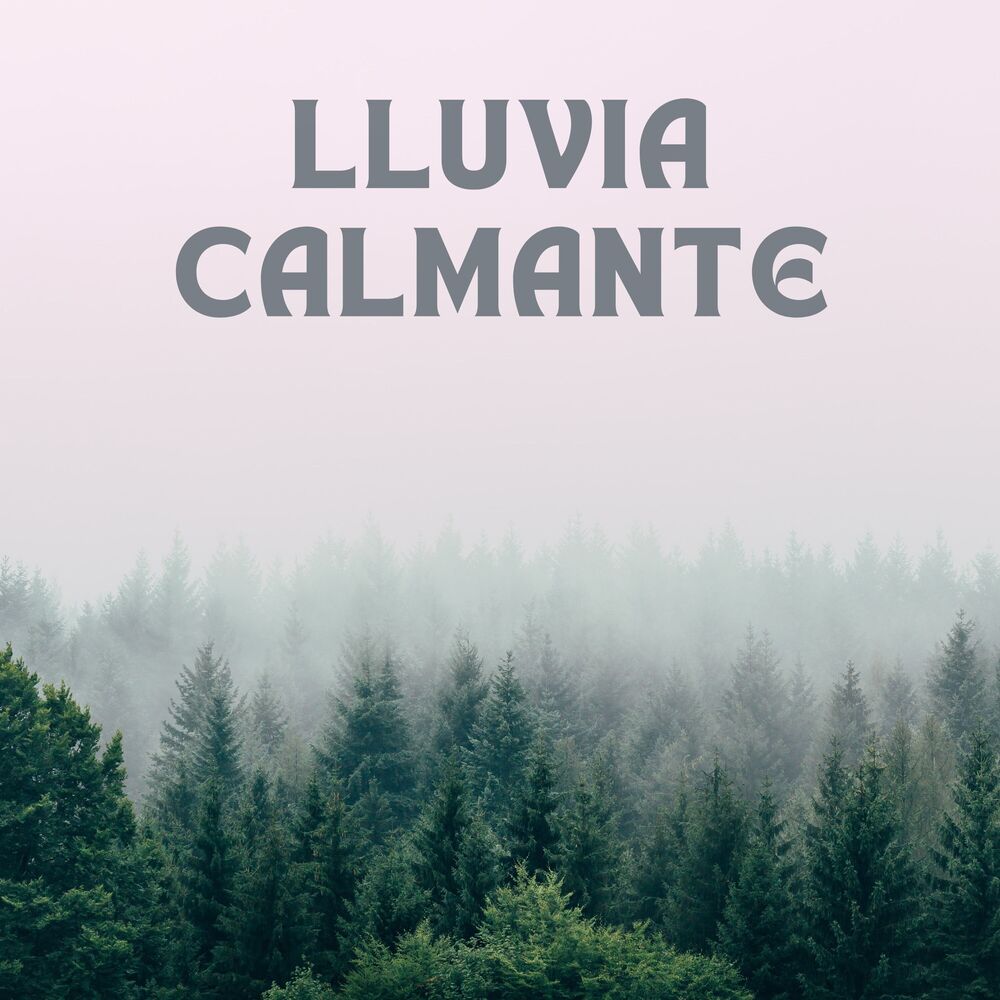 Picture of Lluvia Calmante