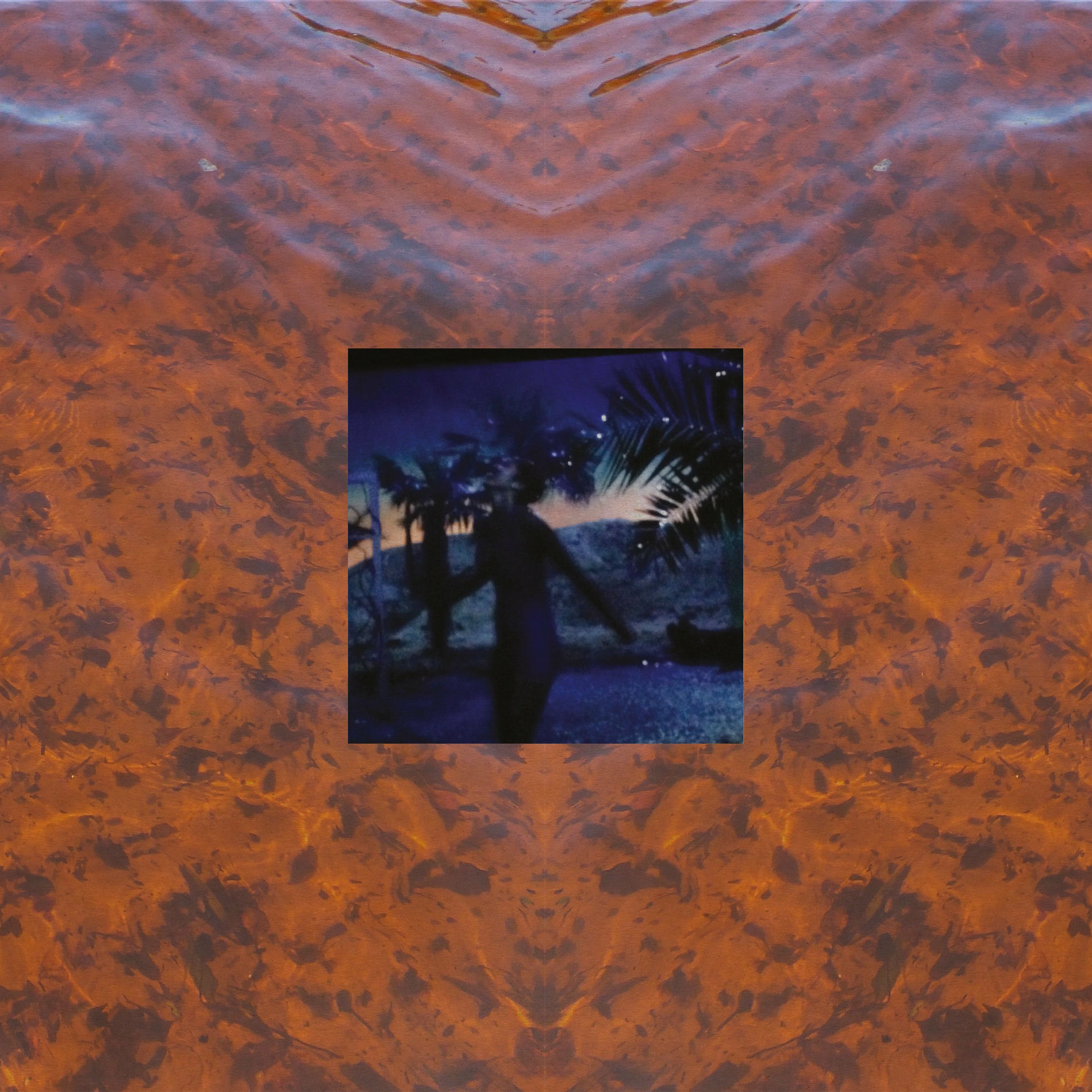 Album cover of Elysian Fields