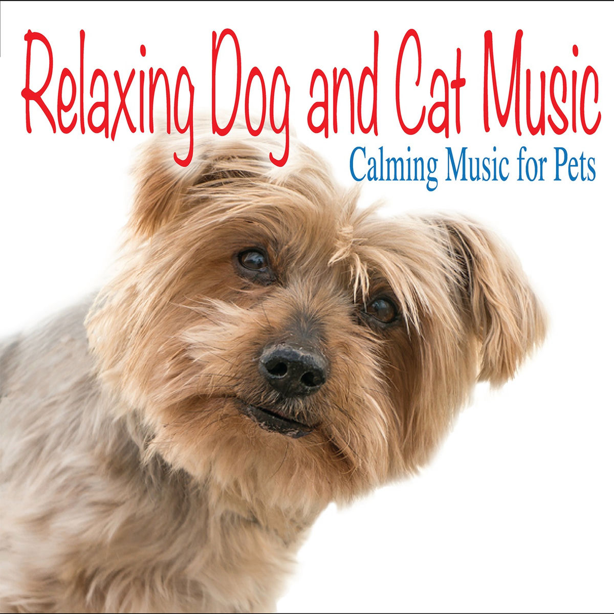 Album cover of Relaxing Dog and Cat Music: Calming Music for Pets