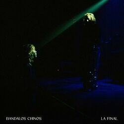 Cover of La Final