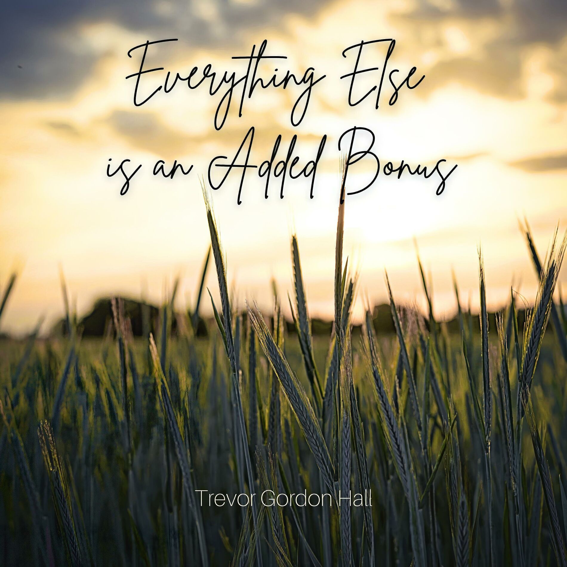 Album cover of Everything Else is an Added Bonus