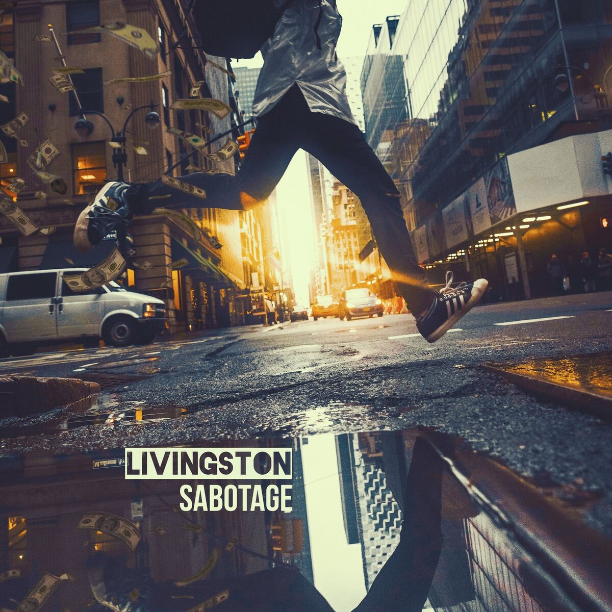 Album cover of Sabotage