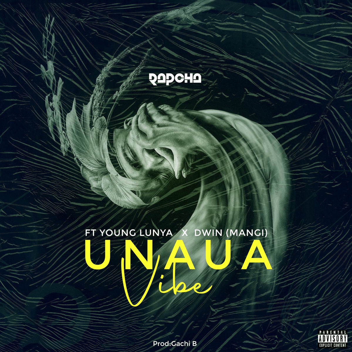 Album cover of Unaua Vibe