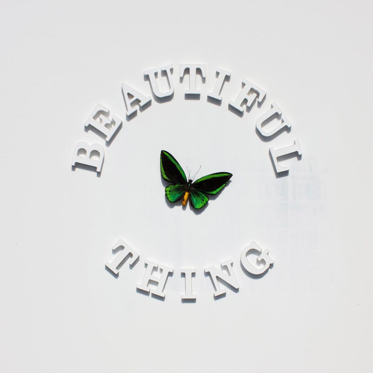 Album cover of Beautiful Thing
