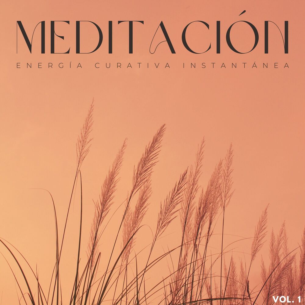 Picture of Meditación: Energía Curativa Instantánea Vol. 1