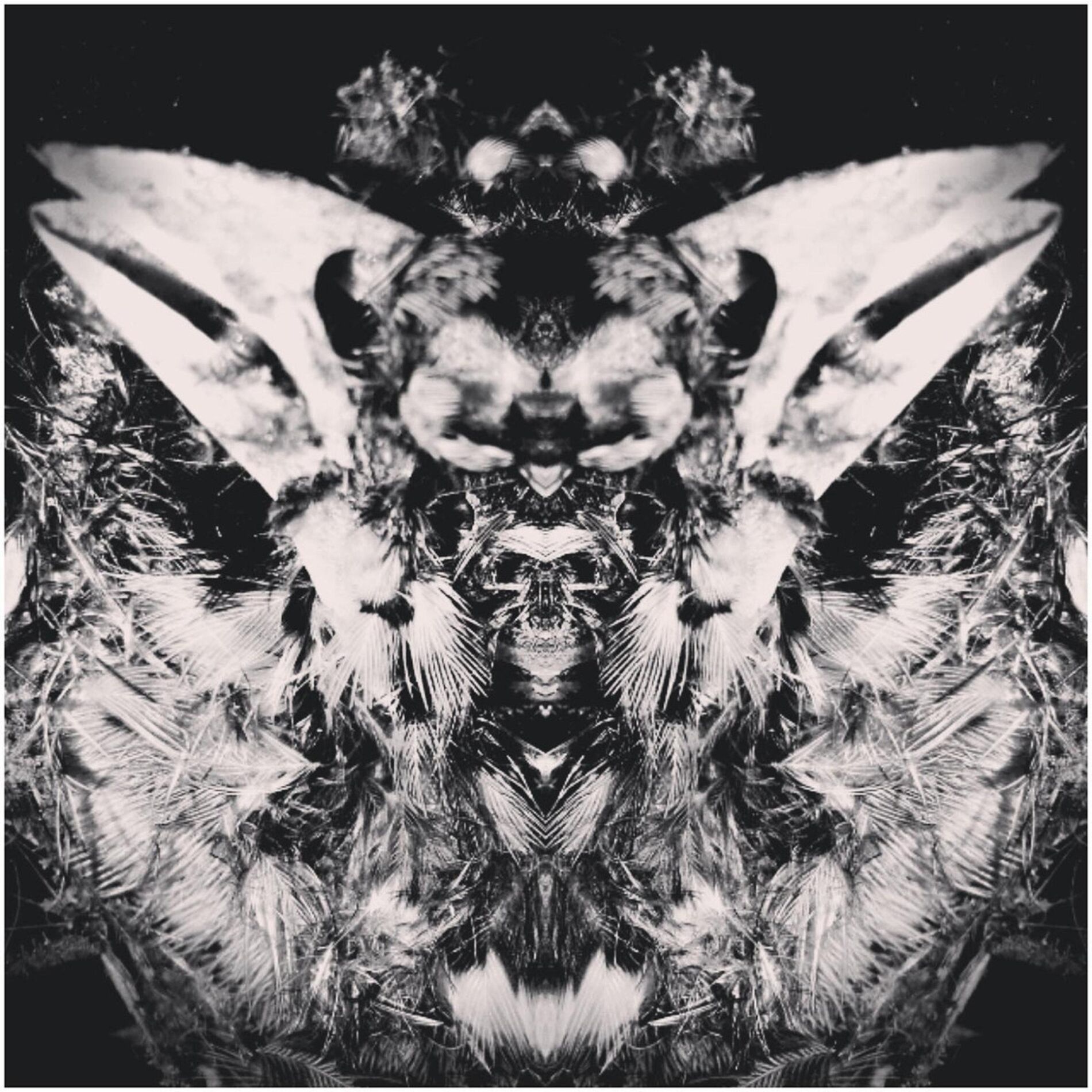 Album cover of Remedial Chaos Theory