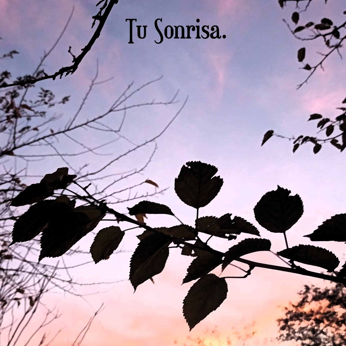 Album cover of Tu Sonrisa