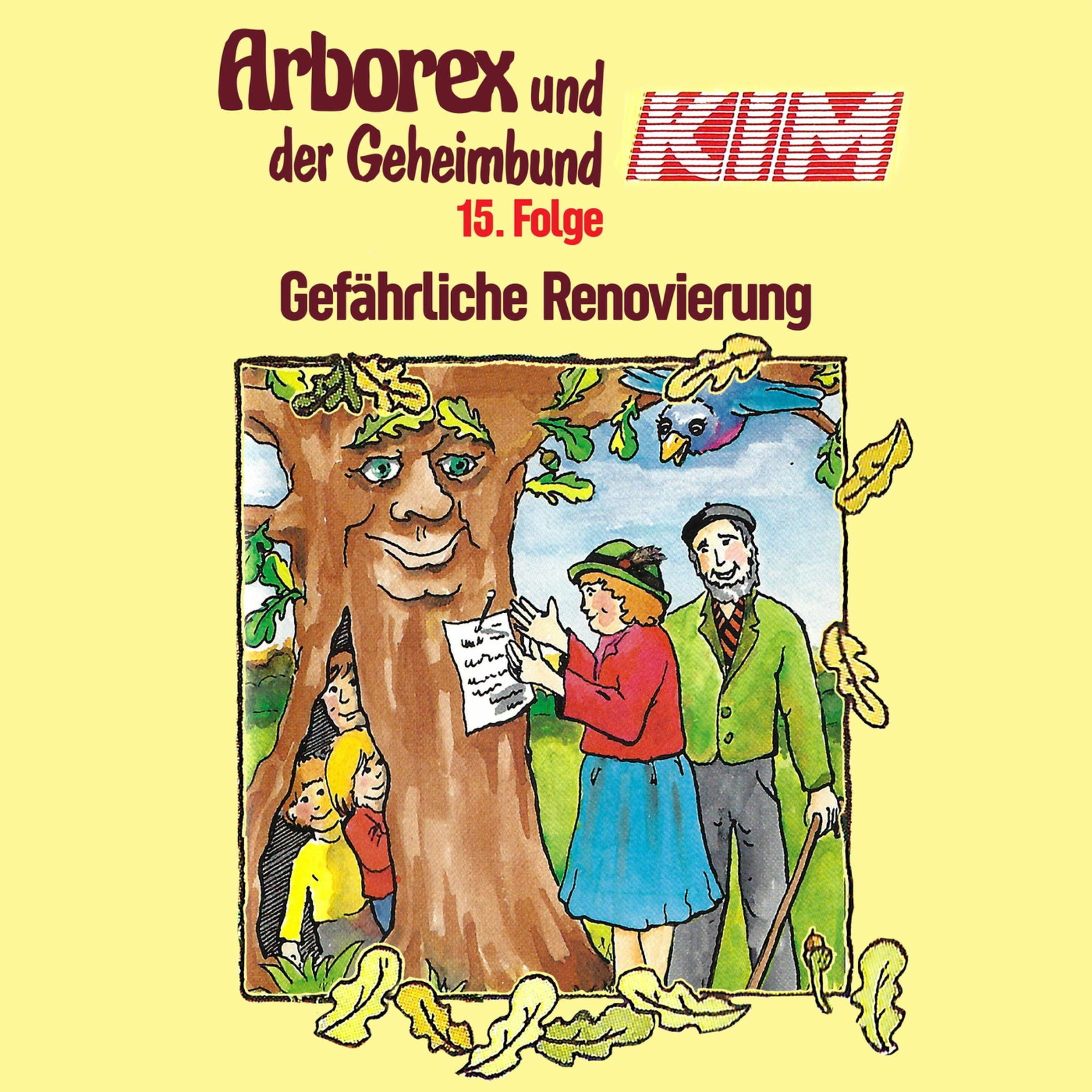 Album cover of 15: Gefährliche Renovierung