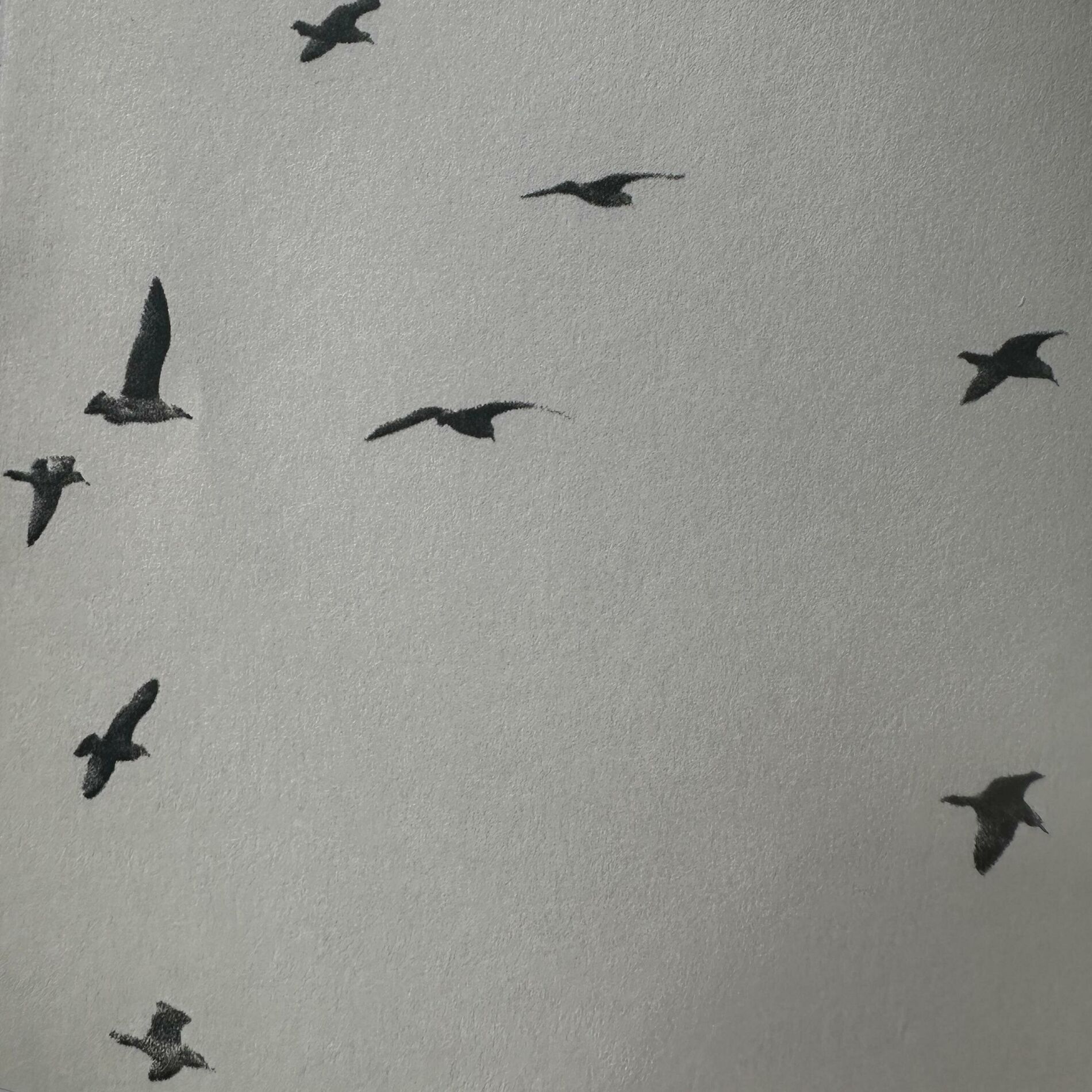 Album cover of YOU CAN FLY