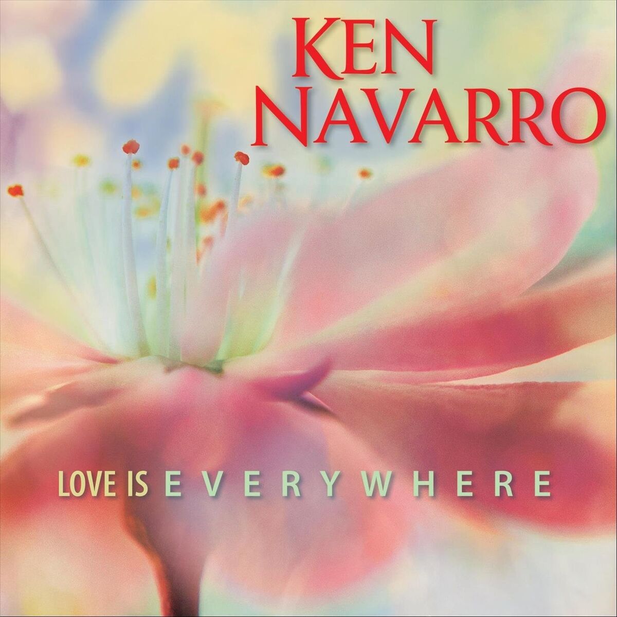 Album cover of Love Is Everywhere