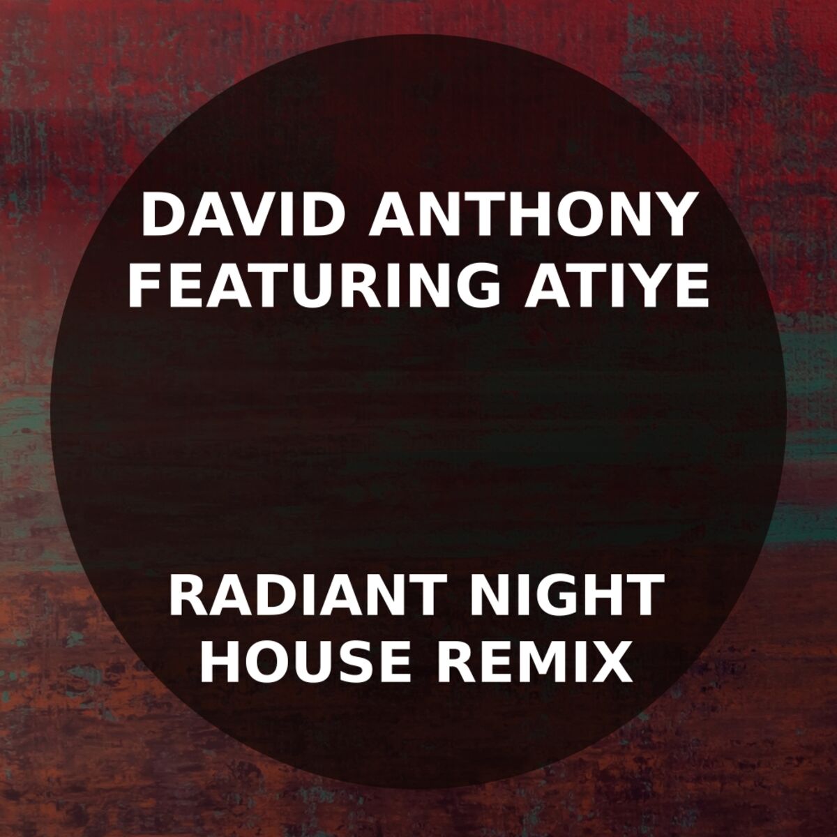 Album cover of Radiant Night House Remix