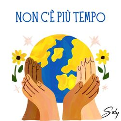 Cover of Non C'è Più Tempo