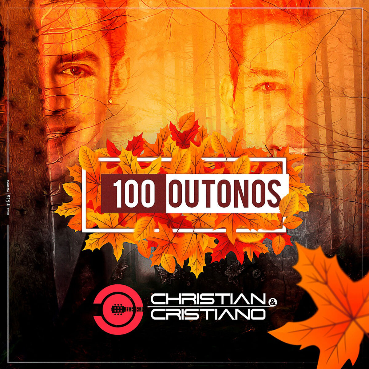 Album cover of Fã