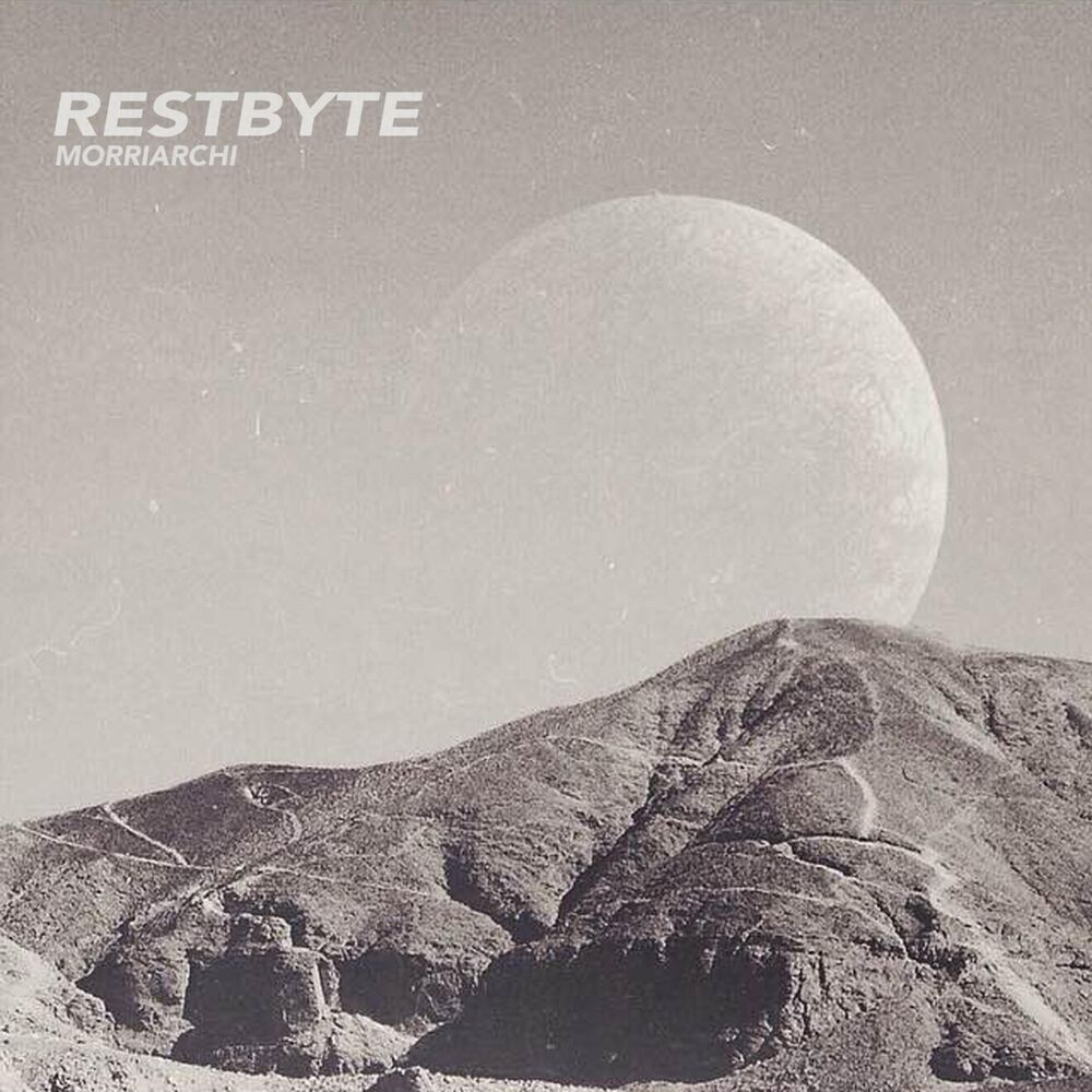 Picture of Restbyte