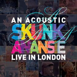 Cover of An Acoustic Skunk Anansie - Live in London