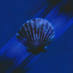 Underwater