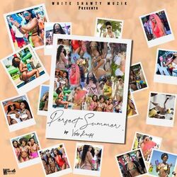 Cover of Perfect Summer