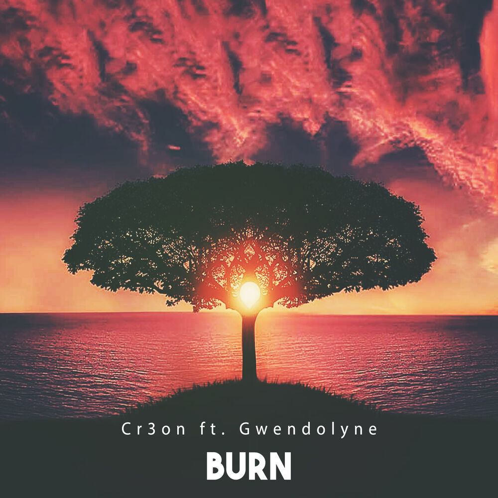 Picture of Burn
