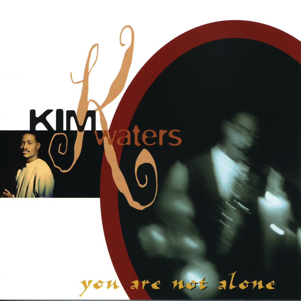 Picture of You Are Not Alone
