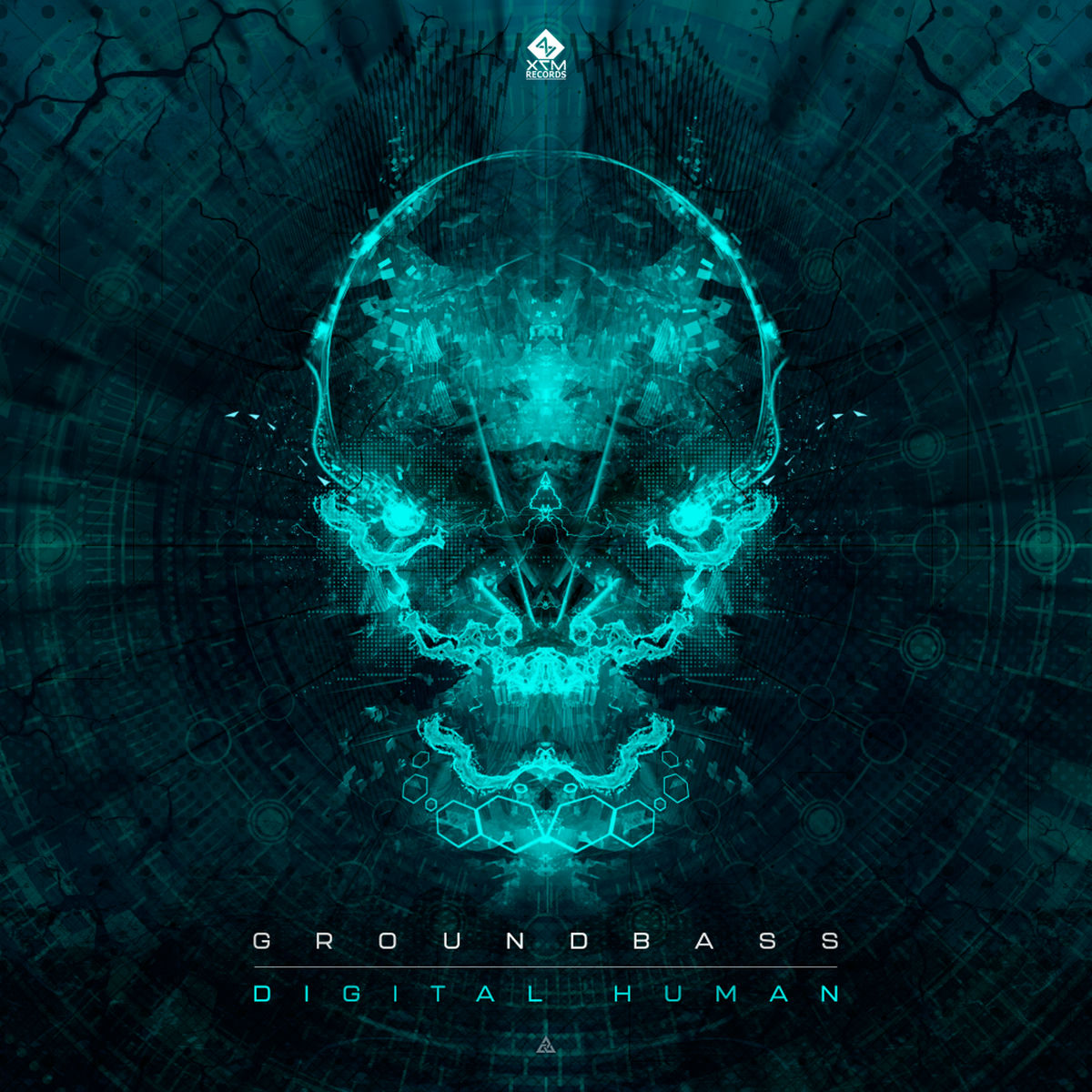 Album cover of Digital Human