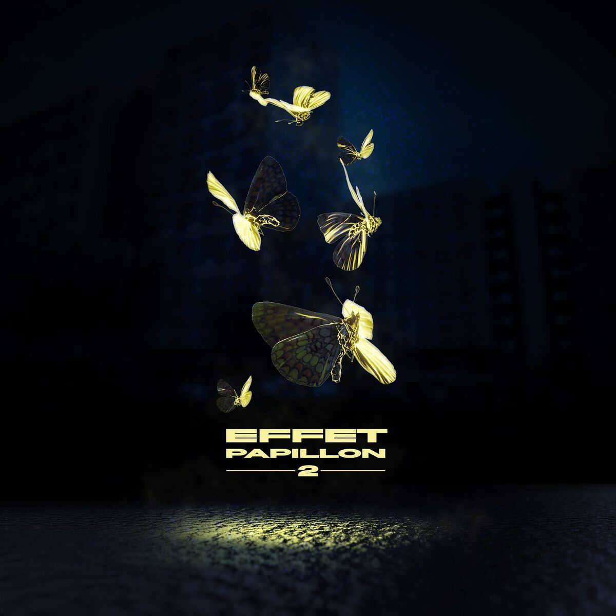 Album cover of Effet papillon 2