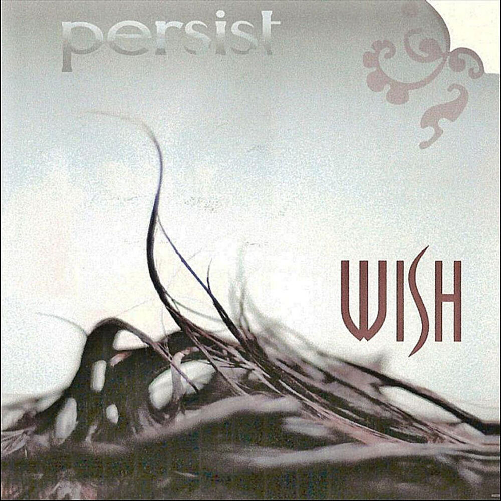 Picture of Persist