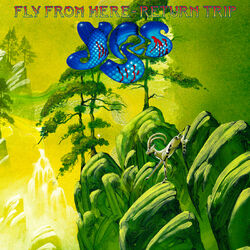 Cover of Fly From Here: Return Trip