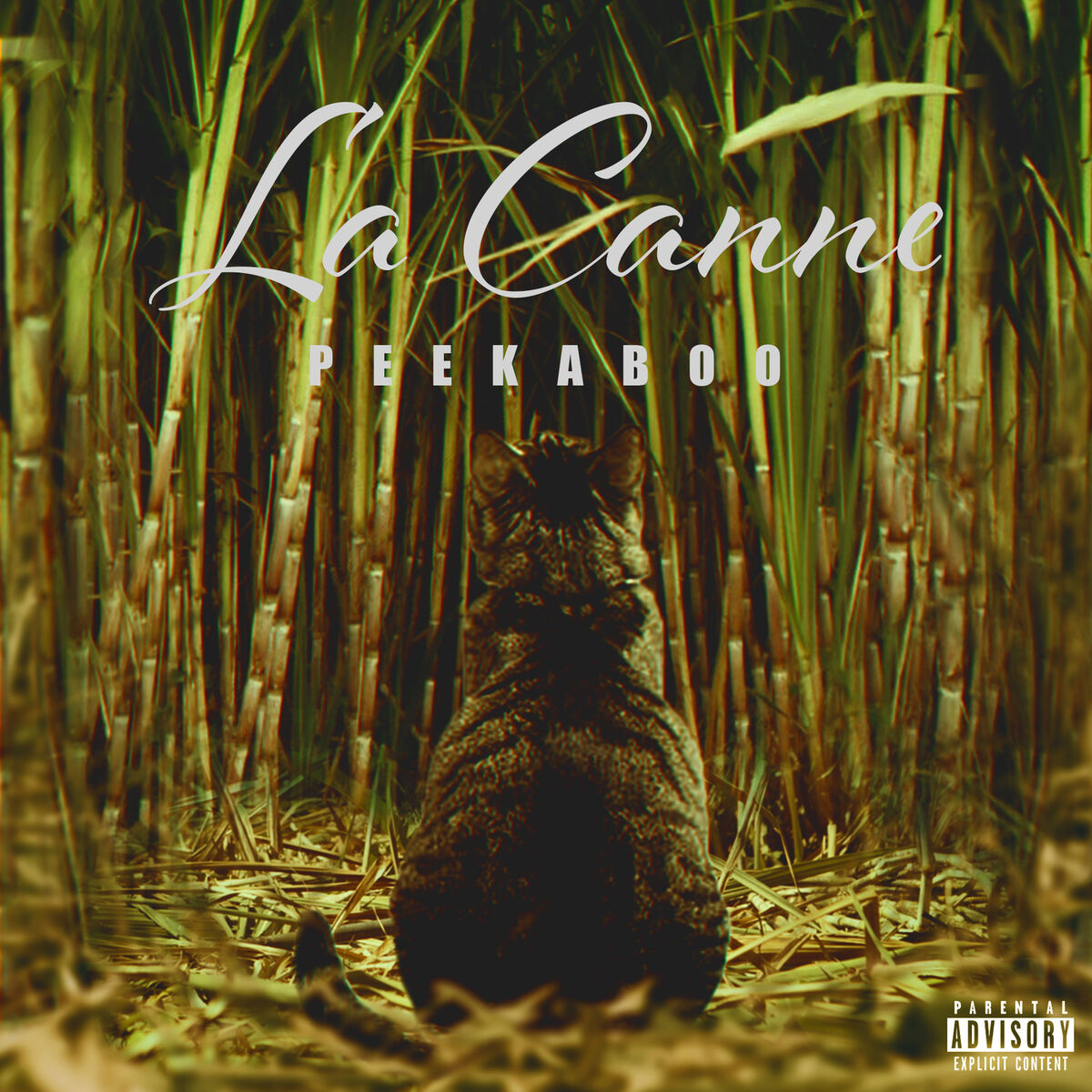 Album cover of La Canne